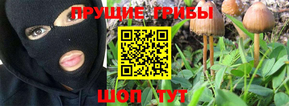 Галлюциногенные грибы ЛСД  Вход с VPN  Междуреченск 